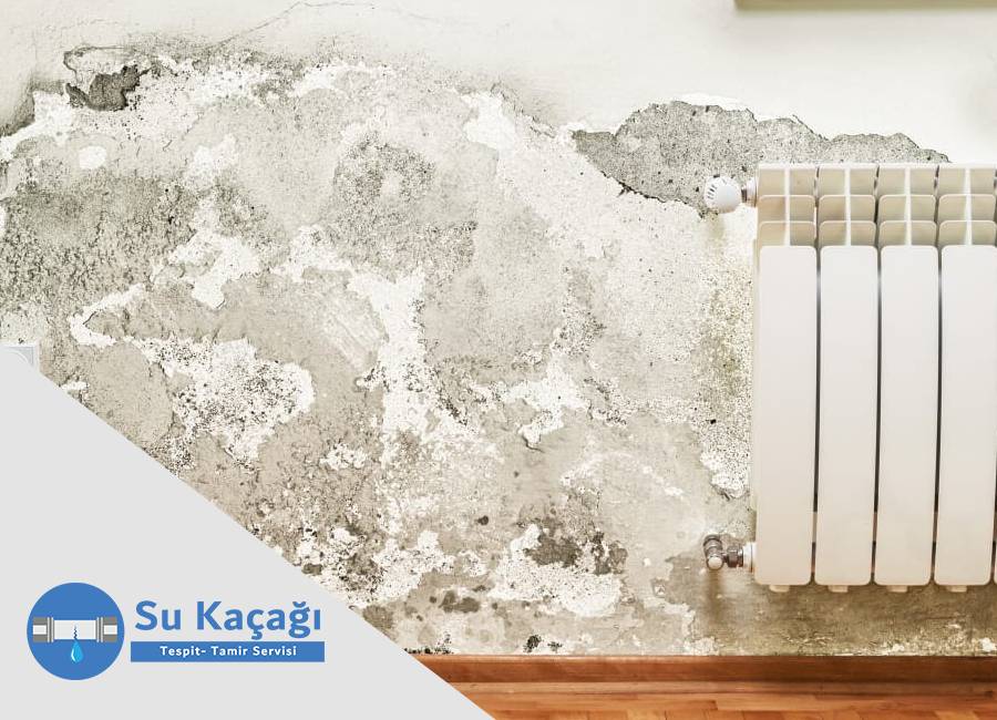 Su kaçağı duvarı çürütür mü