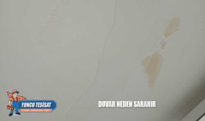 Duvar Neden Sararır