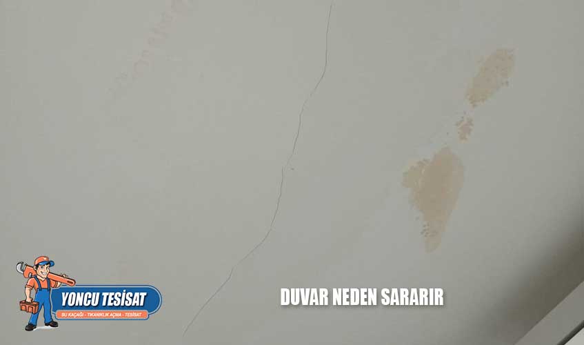 Duvar Neden Sararır
