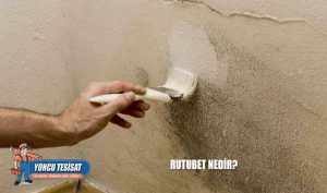 Rutubet Nedir