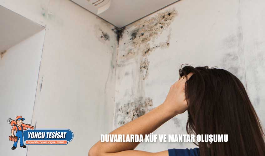 Duvarlarda Küf ve Mantar Oluşumu