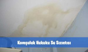 Komşuluk Hukuku Su Sızıntısı