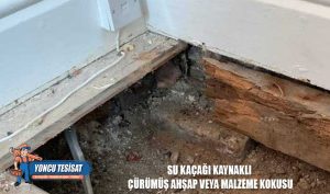 Su Kaçağı Kaynaklı Çürümüş Ahşap veya Malzeme Kokusu