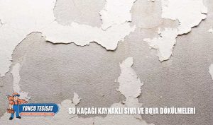 Su Kaçağı Kaynaklı Sıva ve Boya Dökülmeleri