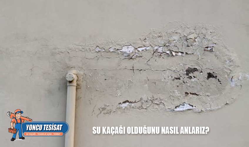 Su kaçağı olduğunu nasıl anlarız?