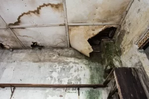 alt kat tavana su sizması