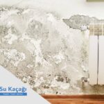 Su kaçağı duvarı çürütür mü